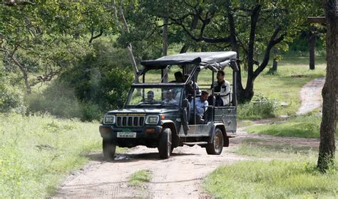 Jeep Safari In Kabini | Safari At Nagarhole National Park