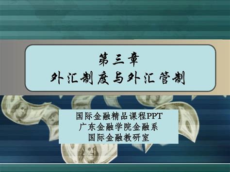 第三章 外汇制度与外汇管制word文档在线阅读与下载无忧文档