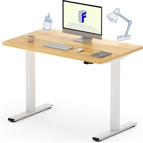 FLEXISPOT Basic Bureau Assis Debout Bureau Électrique Réglable en