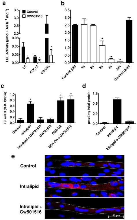 A Heparin Releasable Lpl Activity Was Measured In The L C C And