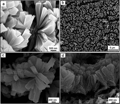 Sem Images Of The Nio Electrodes Obtained Through Calcination Of The