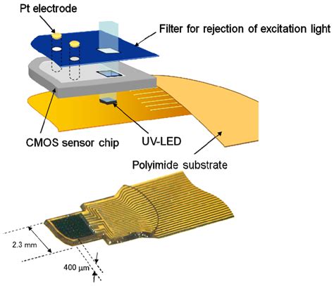 Sensors Free Full Text Implantable CMOS Biomedical Devices