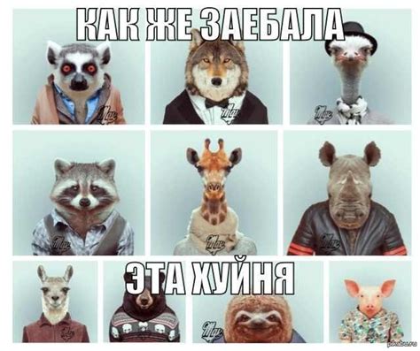 Перестаньте | Пикабу