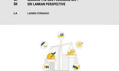 Public Investment For Closing The Sdg Financing Gap The Island