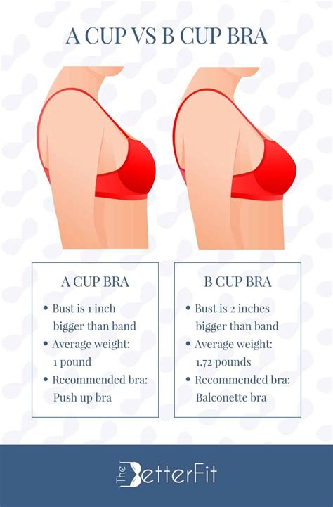 A Cup Vs B Cup Bra Sizes What You Need To Know