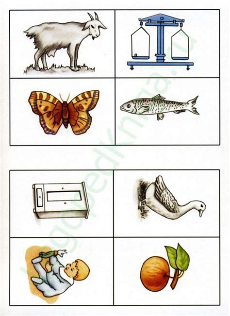 Классификация методика стимульный материал картинки предметов