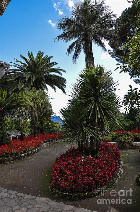 Ravello Gardens Photograph by Travis Ortner - Pixels