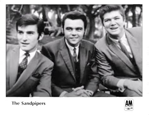 Gallery of Sandpipers | On A&M Records