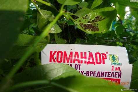 Препарат Командор: инструкция, как применять от вредителей