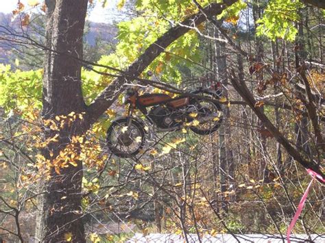Motorcycle In A Tree In Minneapolis North Carolina