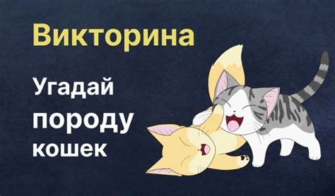 Викторина: Угадай породу кошек (ад olia-developer) - гуляць анлайн ...