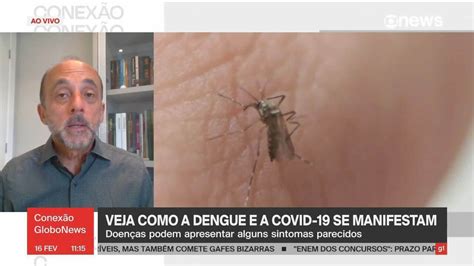 Especialista Explica Como Evitar E As Diferen As Entre Dengue E Covid