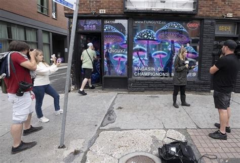 Montreal Police Raid Illegal Magic Mushroom Store On Opening Day