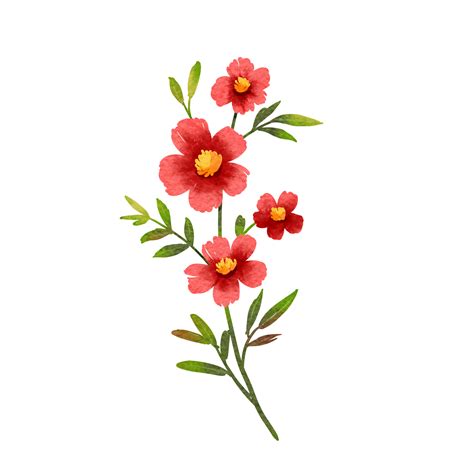 red wild flowers watercolor 13822781 PNG