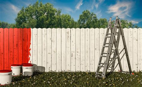 Is it Better to Paint or Stain a Wood Fence? - Matt the Painter