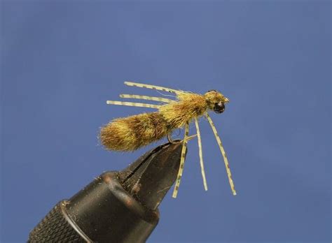 Dragonfly Nymph Global Flyfisher