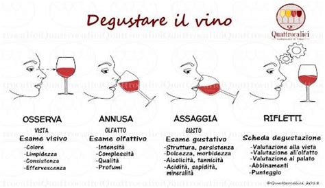 The Organoleptic Qualities Of Wine Elaisian