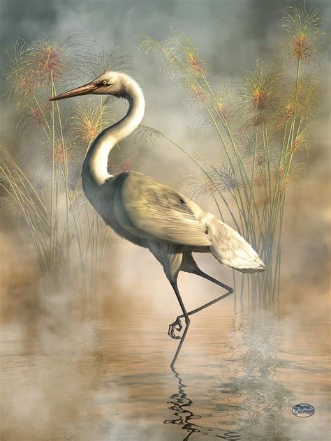 Egret Digital Art By Daniel Eskridge Pixels