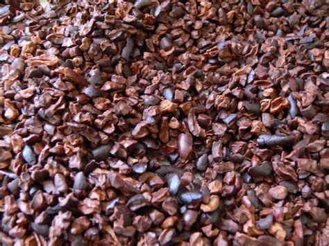 12 Kilos De Nibs De Cacao Orgánico Envío Gratis 3 000 00 en Mercado