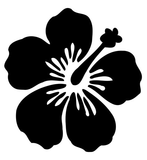 Hawaiian hibiscus Silhouette Flower - Silhouette png download - 942* ...