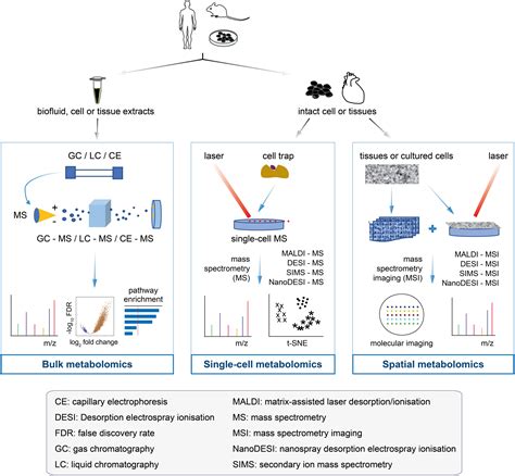 Frontiers When Cancer Drug Resistance Meets Metabolomics Bulk