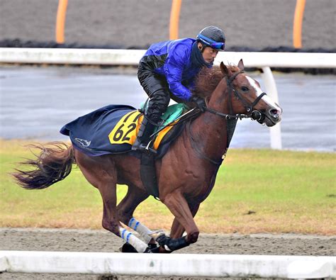 東スポ競馬 On Twitter 写真貼り忘れました💦 21l4oechwk Twitter