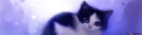 Cute Black And White Little Cat 4k Wallpaper Download