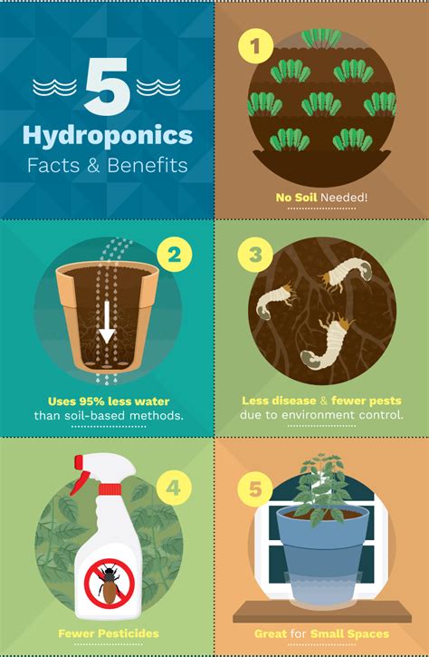 6 Different Hydroponic Gardening Systems For Growing Food… – Eco Snippets