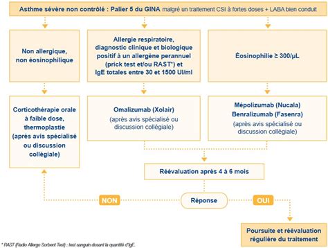 Pai Asthme Eleve Er Degre