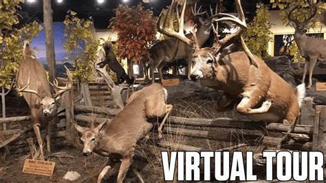 Cabelas Wildlife Triadelphia West Virginia Virtual Tour Youtube