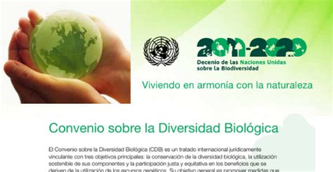 Convenio Sobre La Diversidad Biol Gica Andi