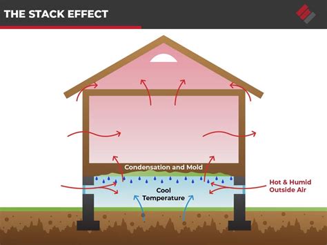 Crawl Space Ventilation: Is It Really Necessary?