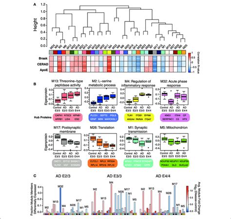 Protein Coexpression Network And Differential Abundance By Apoe Download Scientific Diagram