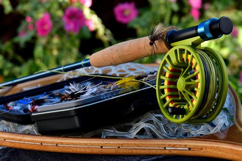 Types Of Fishing Reels Explained Full Guide With Pics Free Patriot