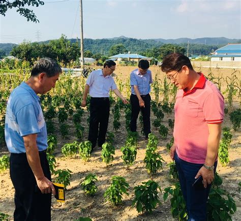 아산시 농작물재해대책운영본부 가동해 폭염 피해 최소화 총력시사뉴스24