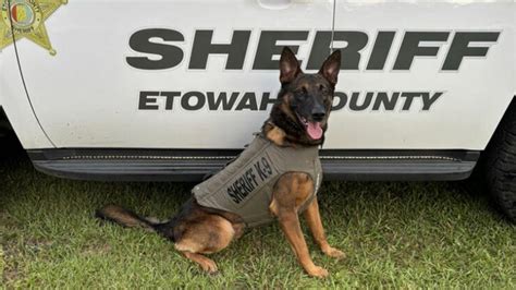 Etowah County K9 Receives Body Armor Donation