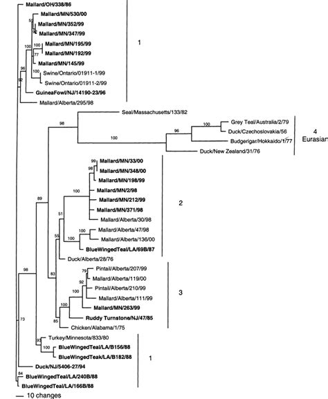 Unrooted Phylogenetic Tree Of All Available H Ha Sequence The Tree