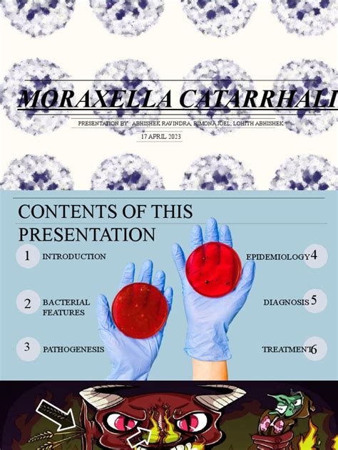 Moraxella Presentation Final | PDF | Pneumonia | Bronchitis