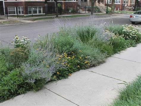 Sidewalk Landscaping Plants