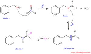 Reductive Amination Chemistryscore