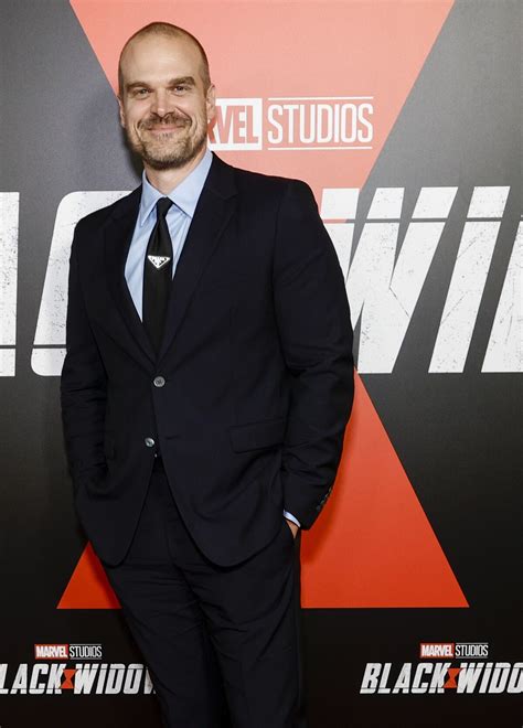 David Harbour | Marvel Cinematic Universe Wiki | Fandom