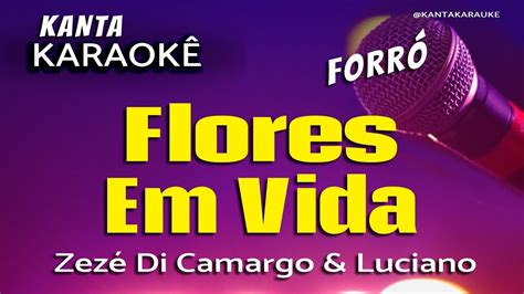 karaokê FLORES EM VIDA forró Zezé Di Camargo e Luciano YouTube