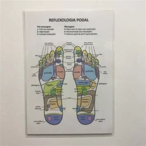 Reflexologia Podal Mapa Colorido Frente E Verso A4 Parcelamento Sem