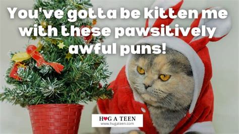 Funny Cat Christmas Puns, Jokes, Quotes, And Photos.