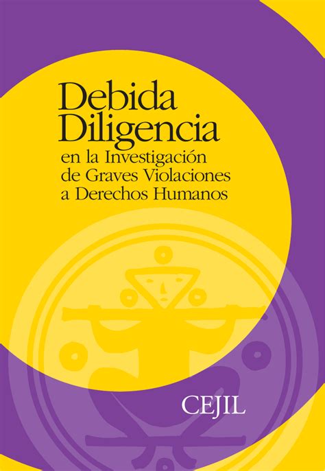 Debida Diligencia Corte Interamericana De Derechos Humanos