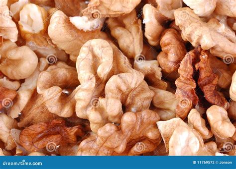 The Kernel Of Nut Stock Photo Image Of Breakfast Break 11769572