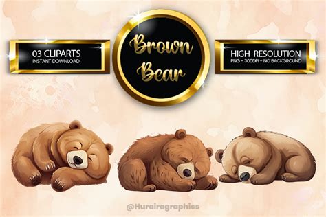 Brown Bear Clipart Bundle 03 Variations Graphic By Hurairagraphics