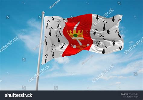 Official Flag Carolina Puerto Rico Untied Stock Illustration