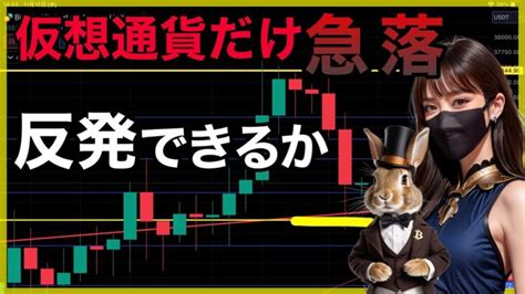 ビットコイン仮想通貨市場だけ急落なぜ？に答えます │ 金融情報のまとめ