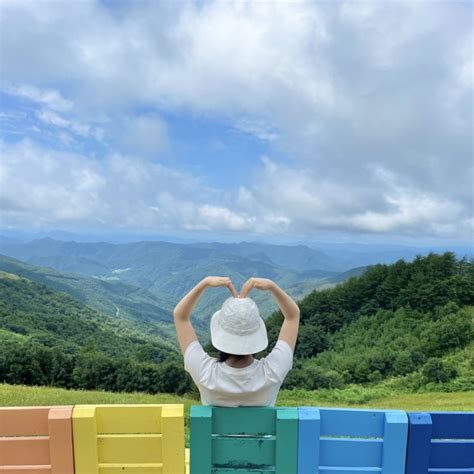 강원도 평창 가볼만한곳 해발 1200m 차박 명소 청옥산 육백마지기 ♡ 네이버 블로그